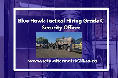 Blue Hawk Tactical Grade C Security Officer job opportunity in Benoni – apply with PSIRA certificate, ID, and CV before 28 November 2025.